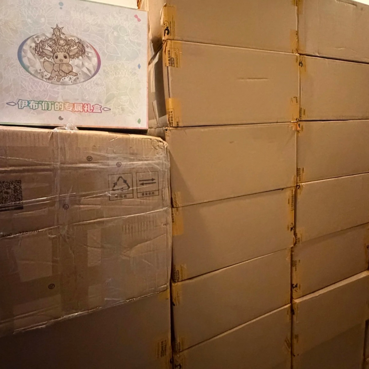 PTCG Simplified Chinese CSV9.5C Eeveelutions's Exclusive Gift Box